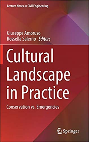 Cultural landscape in practice : conservation vs. emergencies 책표지