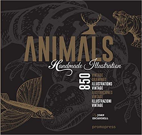 Animals : handmade illustration 책표지