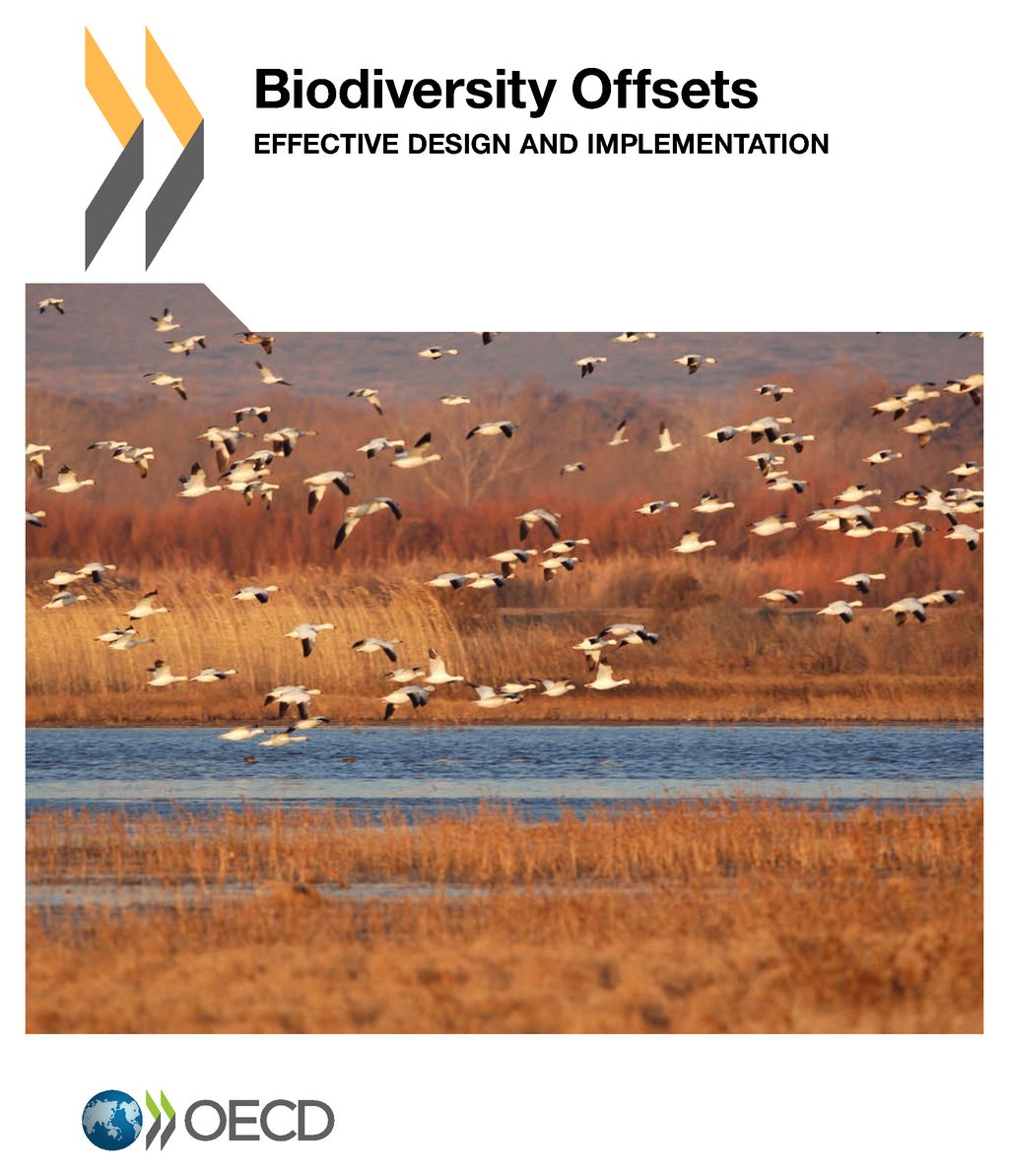 Biodiversity offsets : effective design and implementation 책표지