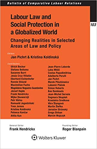 Labour law and social protection in a globalized world : changing realities in selected areas of law and policy 책표지