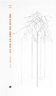 슬픔 비슷한 것은 눈물이 되지 않는 시간 : 김상혁 시집 책표지