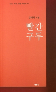 빨간 구두 : 김태영 시집 책표지