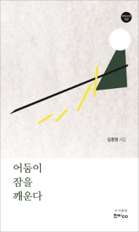 어둠이 잠을 깨운다 : 김중영 시집 책표지