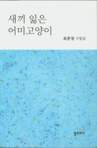 새끼 잃은 어미고양이 : 최문영 수필집 책표지