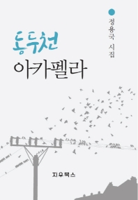동두천 아카펠라 : 정용국 시집 책표지
