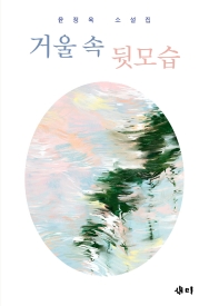 거울 속 뒷모습 : 윤정옥 소설집 책표지
