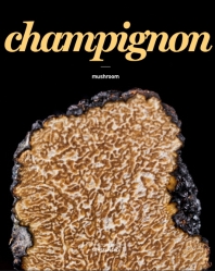 Champignon : mushroom 책표지