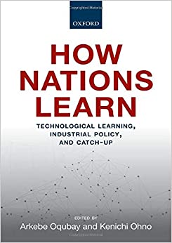 How nations learn : technological learning, industrial policy, and catch-up 책표지