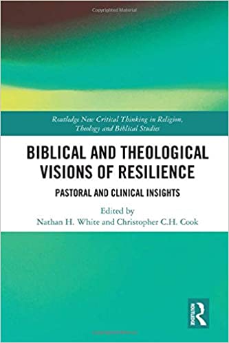 Biblical and theological visions of resilience : pastoral and clinical insights 책표지