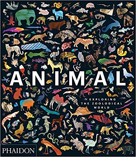 Animal : exploring the zoological world 책표지