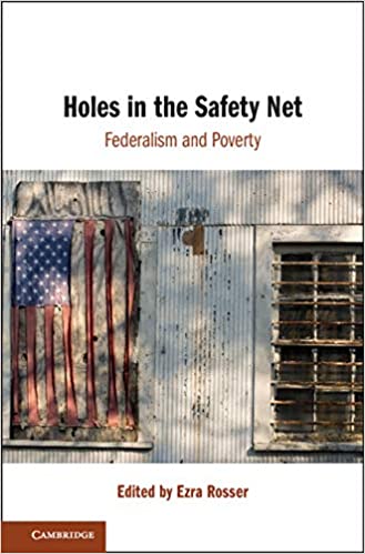 Holes in the safety net : federalism and poverty 책표지