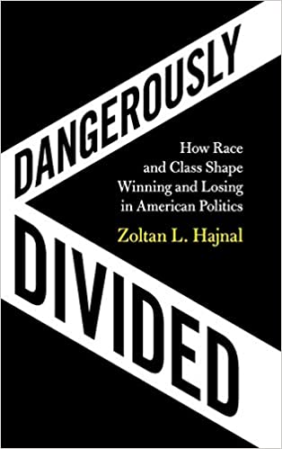 Dangerously divided : how race and class shape winning and losing in American politics 책표지