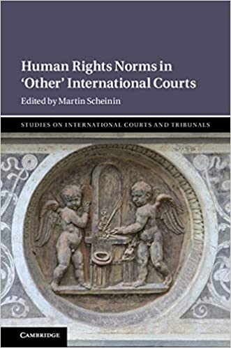 Human rights norms in &#34;other&#34; international courts 책표지