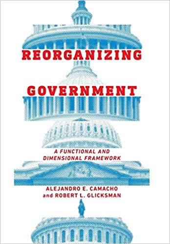 Reorganizing government : a functional and dimensional framework