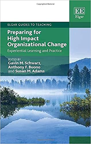 Preparing for high impact organizational change : experiential learning and practice 책표지