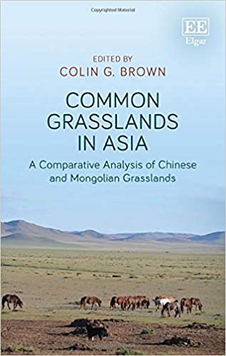 Common grasslands in asia : a comparative analysis of chinese and mongolian grasslands 책표지