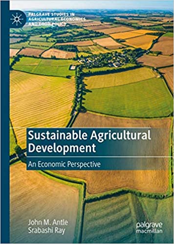 Sustainable agricultural development : an economic perspective 책표지