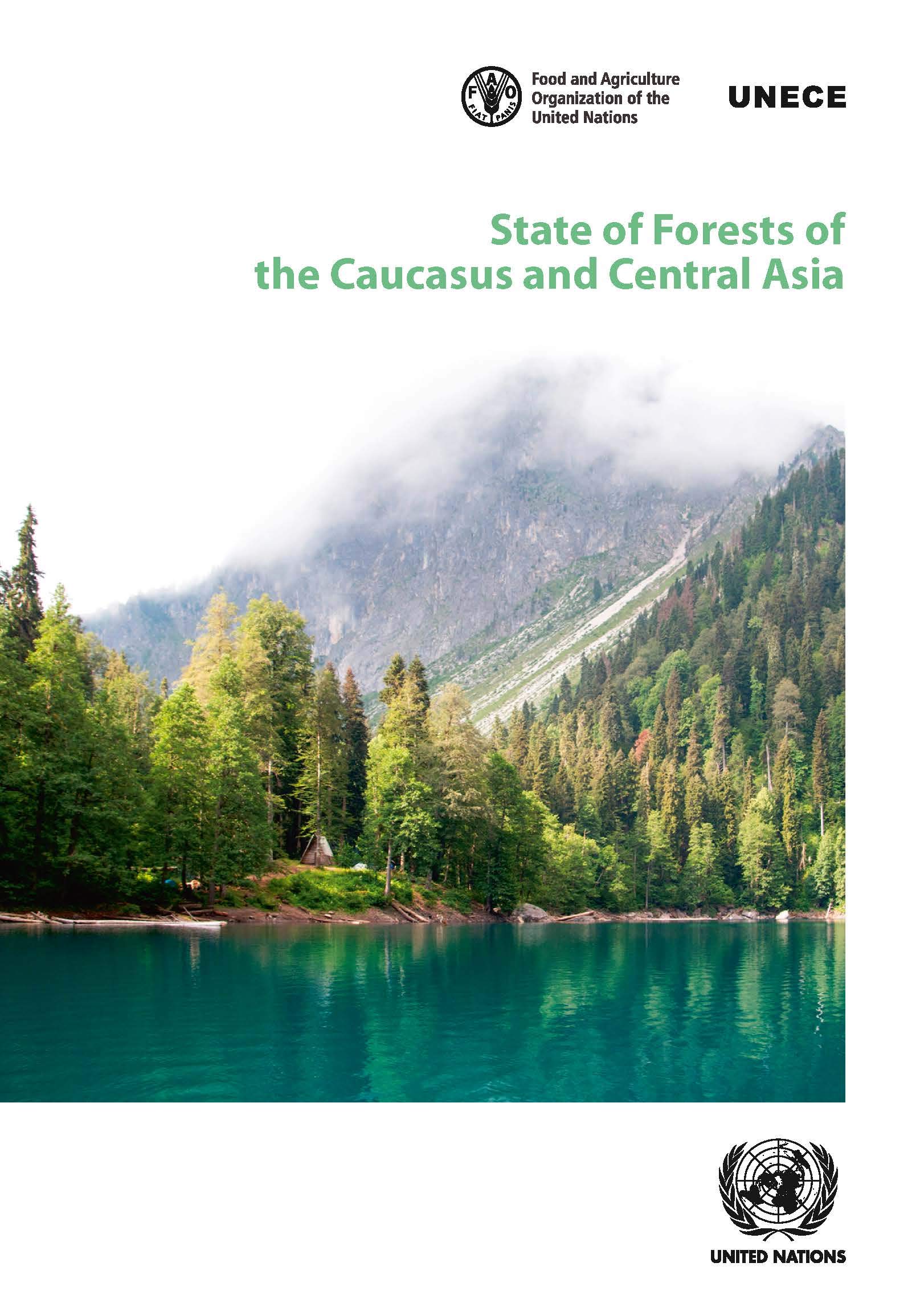 State of forests of the Caucasus and Central Asia : overview of forests and sustainable forest management in the Caucasus and Central Asia region 책표지
