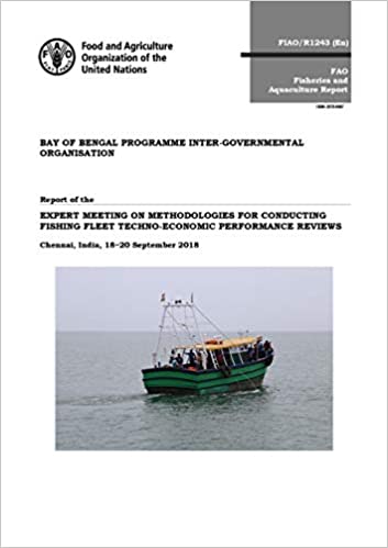 Report of the Expert Meeting on Methodologies for Conducting Fishing Fleet Techno-economic Performance Reviews : Chennai, India, 18-20 September 2018 책표지