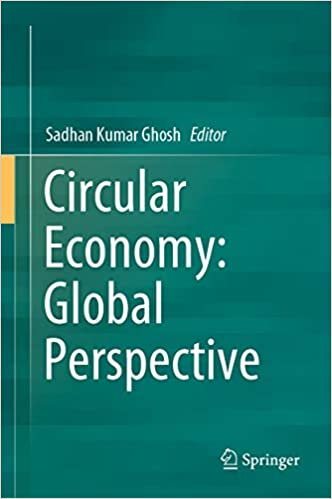 Circular economy : global perspective 책표지
