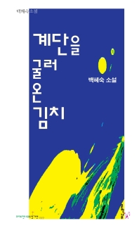 계단을 굴러온 김치 : 백혜숙 소설 책표지