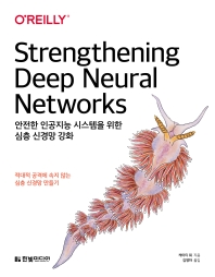 안전한 인공지능 시스템을 위한 심층 신경망 강화 : 적대적 공격에 속지 않는 심층 신경망 만들기 책표지