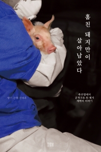 훔친 돼지만이 살아남았다 : 축산업에서 공개구조 된 돼지 새벽이 이야기 책표지