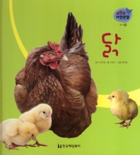 닭 책표지