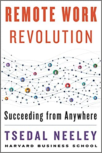 Remote work revolution : succeeding from anywhere 책표지