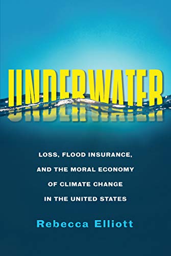 Underwater : loss, flood insurance, and the moral economy of climate change in the United States 책표지