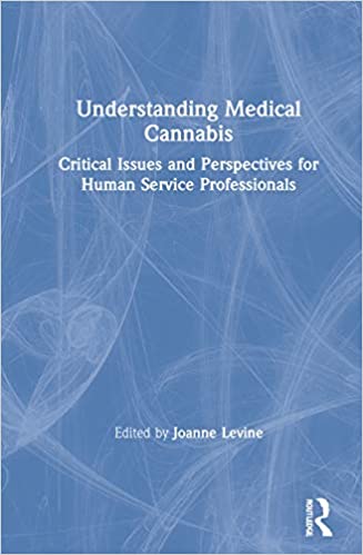 Understanding medical cannabis : critical issues and perspectives for human service professionals 책표지