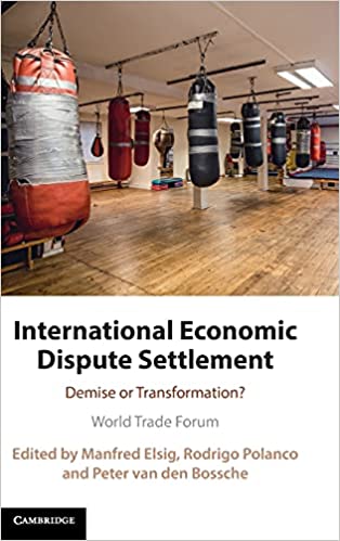 International economic dispute settlement : demise or transformation? 책표지