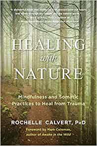 Healing with nature : mindfulness and somatic practices to heal from trauma 책표지