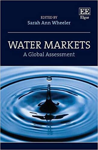 Water markets : a global assessment 책표지