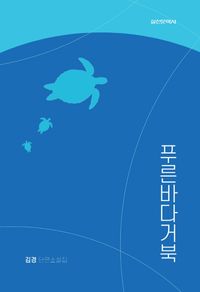 푸른바다거북 : 김경 단편소설집 책표지