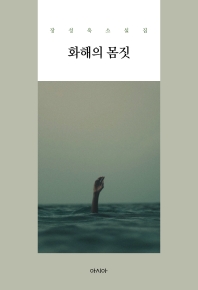 화해의 몸짓 : 장성욱 소설집 책표지