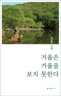거울은 거울을 보지 못한다 : 김남주 시집 책표지