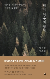 명작 이후의 명작 : 「회색 눈사람」에서 「봄밤」까지, 한국 현대소설 읽기 : 황종연 평론집 책표지