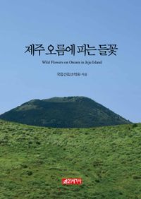 제주 오름에 피는 들꽃 = Wild flowers on oreum in Jeju island 책표지
