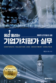 몸값 올리는 기업가치평가 실무 = Corporate valuation and investment analysis : 해외주식 투자분석 사례 책표지