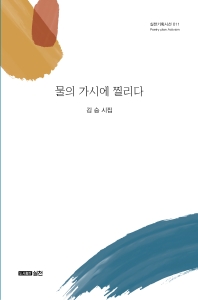 물의 가시에 찔리다 : 김승 시집 책표지