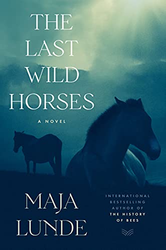 (The) last wild horses : a novel 책표지