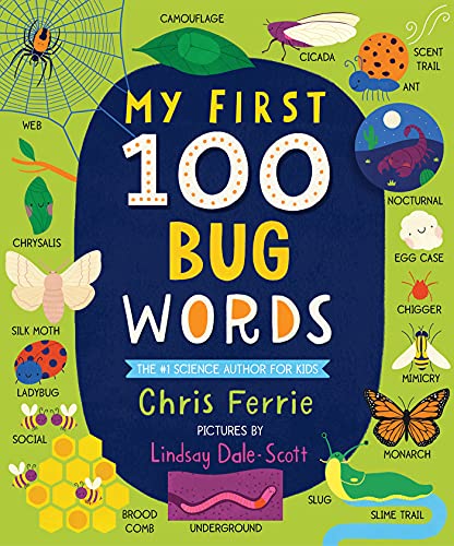 My first 100 bug words 책표지