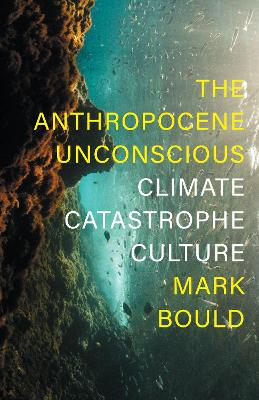 (The) anthropocene unconscious : climate catastrophe culture 책표지