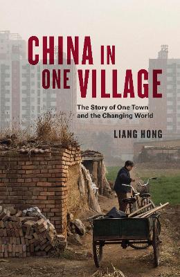 China in one village : the story of one town and the changing world 책표지