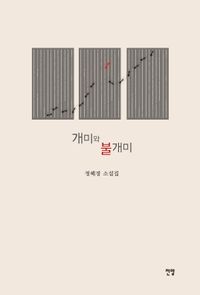 개미와 불개미 : 정혜경 소설집 책표지