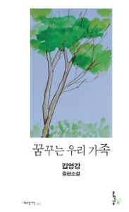 꿈꾸는 우리 가족 : 김영강 중편소설 책표지