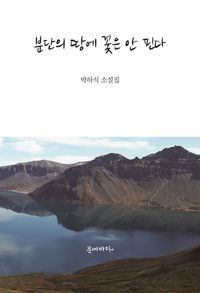 분단의 땅에 꽃은 안 핀다 : 박하식 소설집 책표지