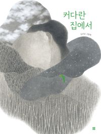 커다란 집에서 : 김선남 그림책 책표지