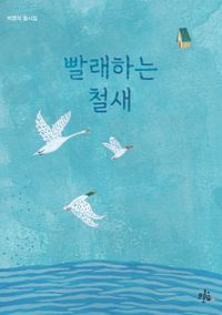 빨래하는 철새 : 박영식 동시집 책표지